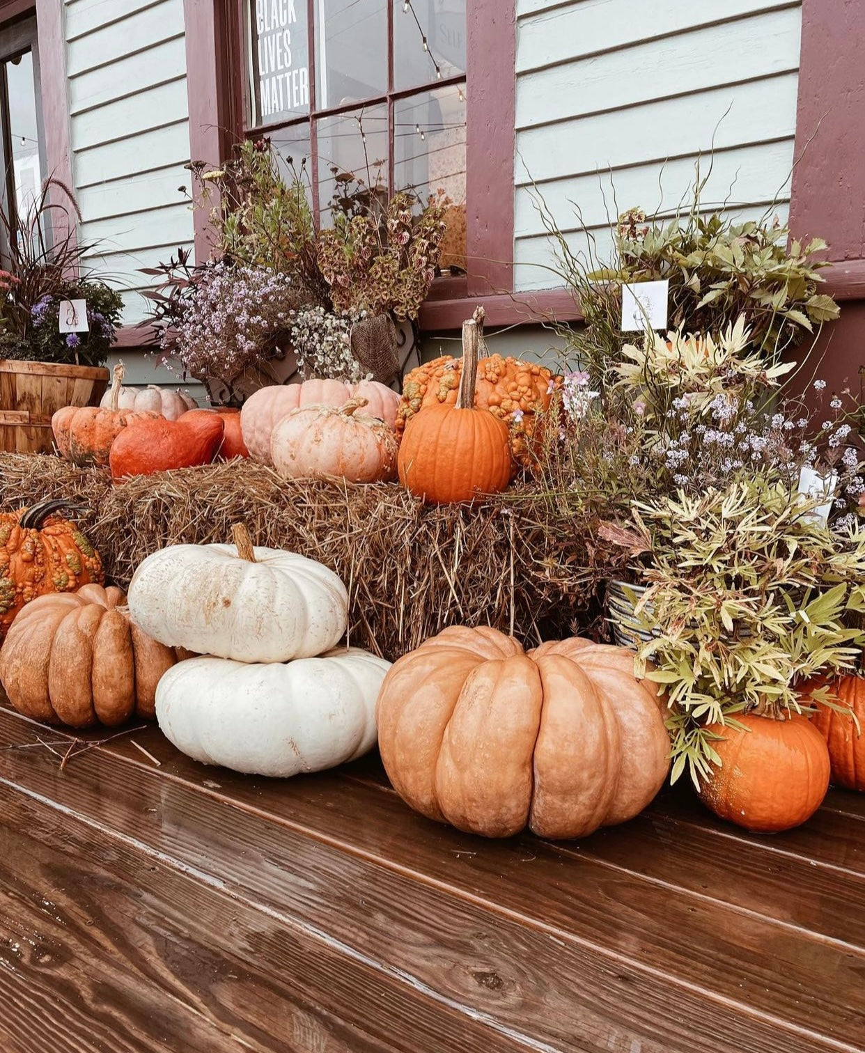 Fall Collection 2022