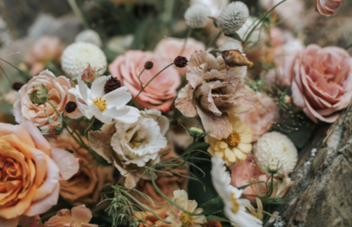 Magic Hour | Thanksgiving Arrangement