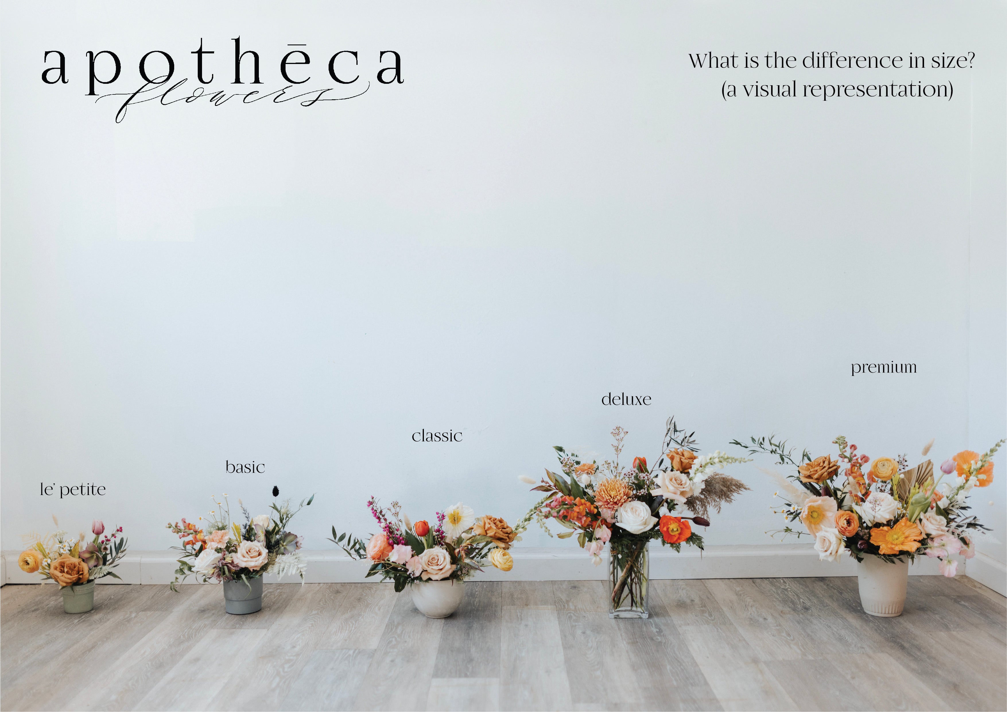 Seasonal Arrangements ~ Designer's Choice