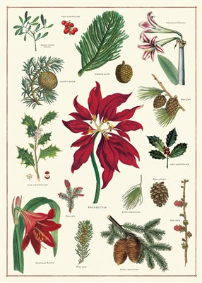 Christmas Botanical Wrap/Poster