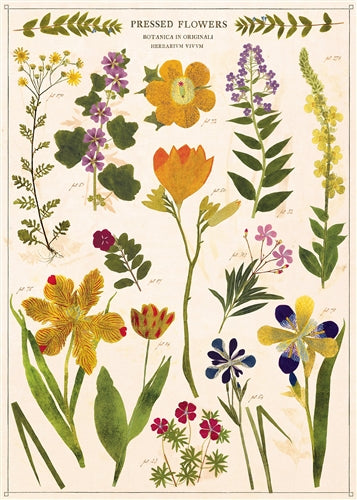 Pressed Flowers Wrap/ Poster